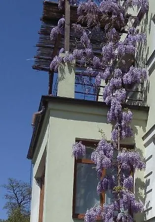Nejklidnejsi Spanek S Vyhlidkou Vyhradne Pro Nekuraky - Vistaria - Na Hradbach 5 Homestay