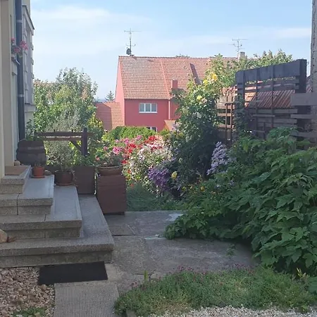 Homestay Nejklidnejsi Spanek S Vyhlidkou Vyhradne Pro Nekuraky - Vistaria - Na Hradbach 5 *