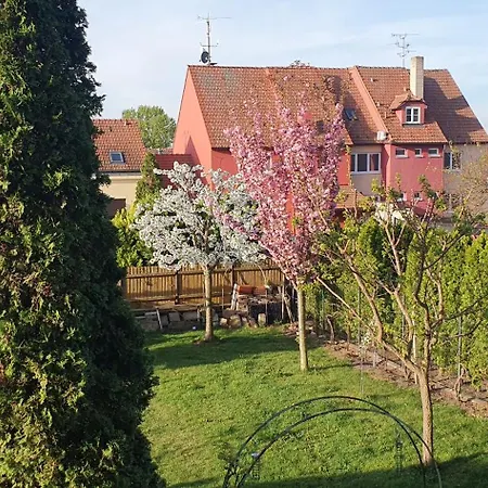 Homestay Nejklidnejsi Spanek S Vyhlidkou Vyhradne Pro Nekuraky - Vistaria - Na Hradbach 5